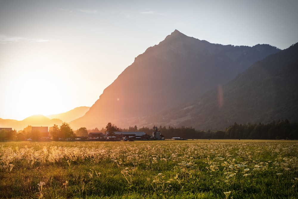 green grass field near mountain during daytime