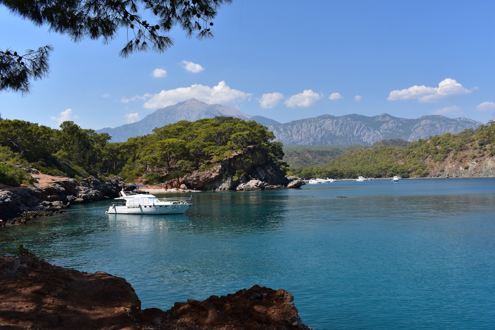 white boat on sea near green mountain during daytime