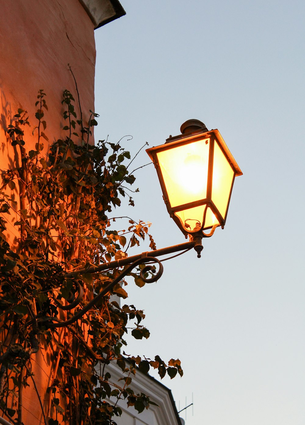 black and yellow outdoor lamp