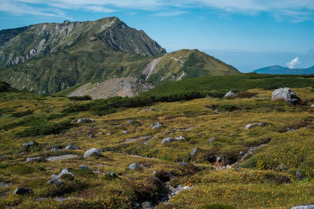 green grass field near mountain under blue sky during daytime