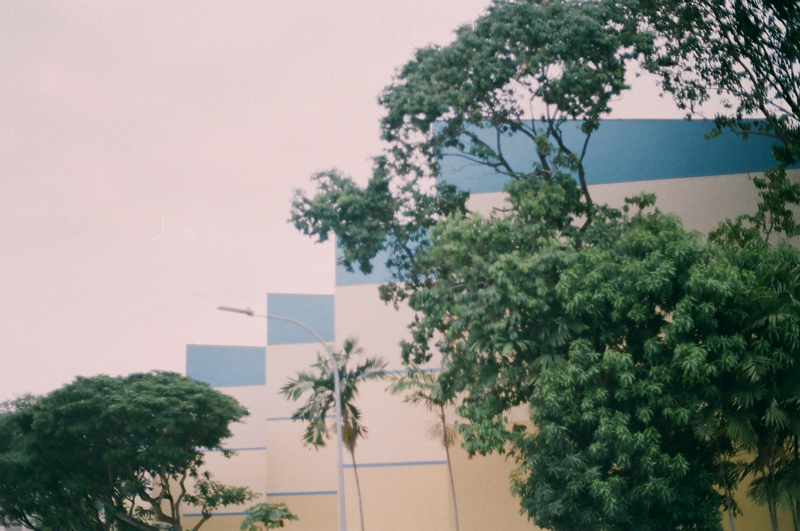 Photo by hanzlog