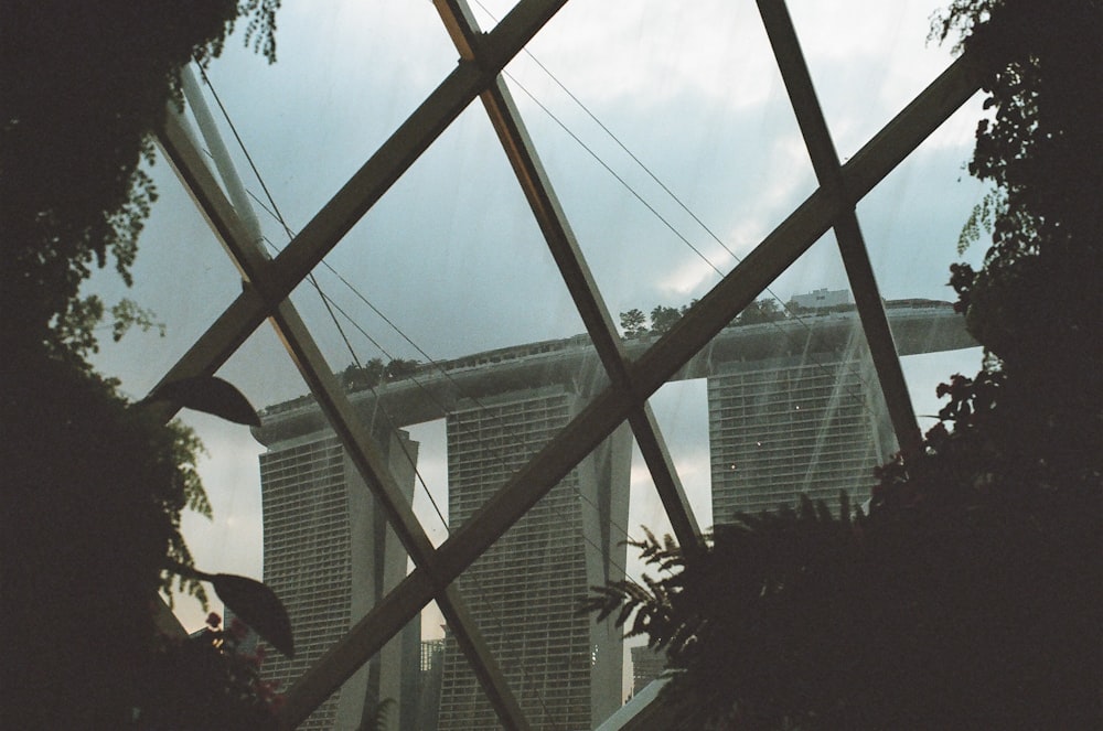 green plants near glass window