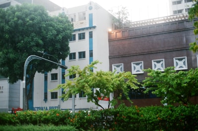 A city scene featuring modern buildings with geometric designs, surrounded by lush green trees and shrubbery. The architecture includes a combination of bright and neutral colors, creating a contrast between the natural and urban elements.
