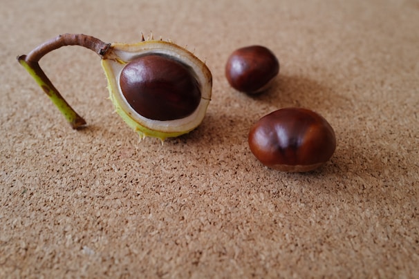 A close-up view of a split chestnut with its shell partially removed, revealing the glossy brown nut inside. Two more chestnuts are nearby, resting on a textured cork surface.