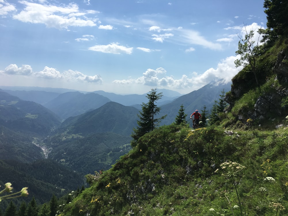 green trees on mountain under white clouds during daytime