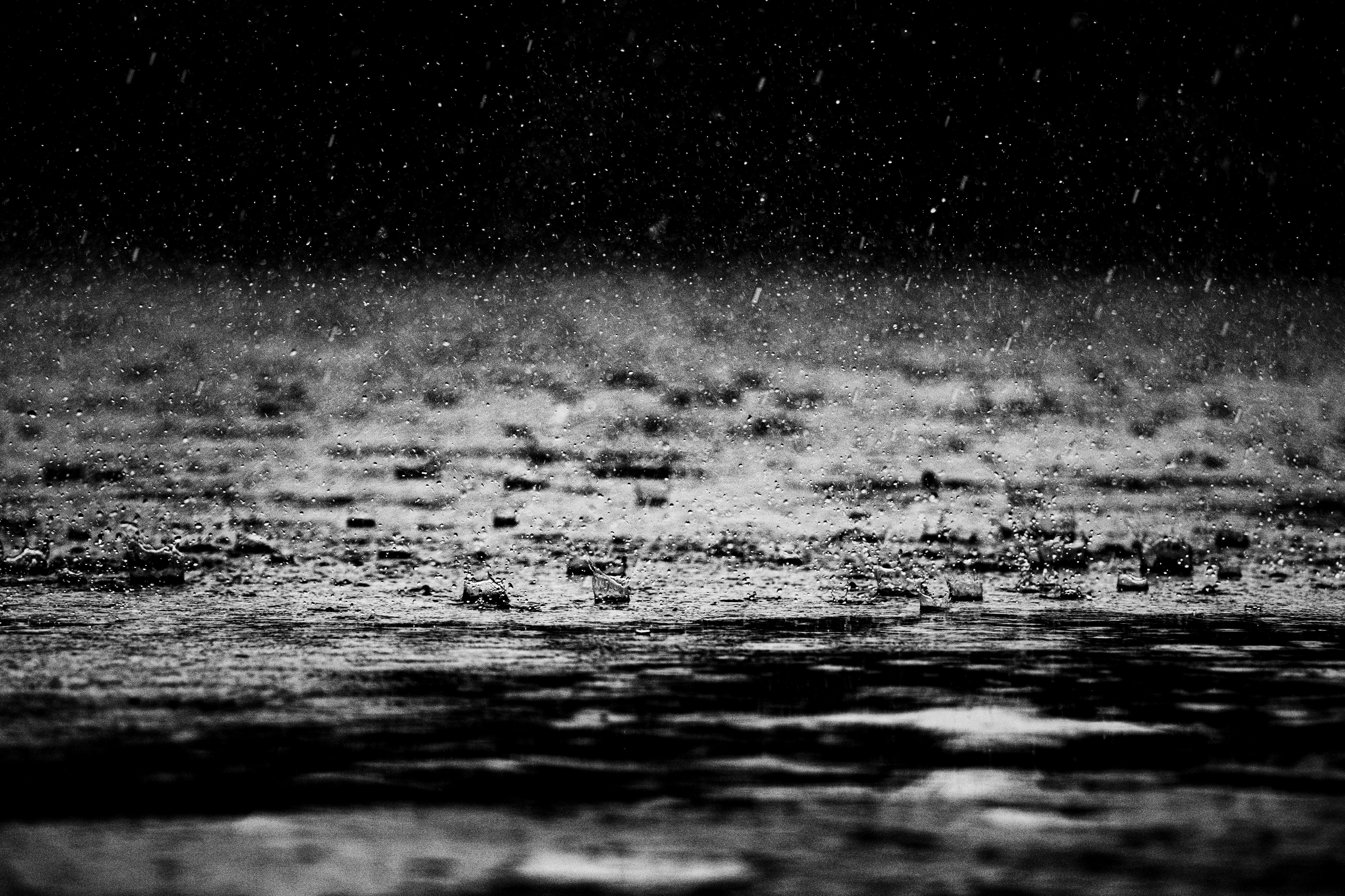 Photo by kankonbiswas