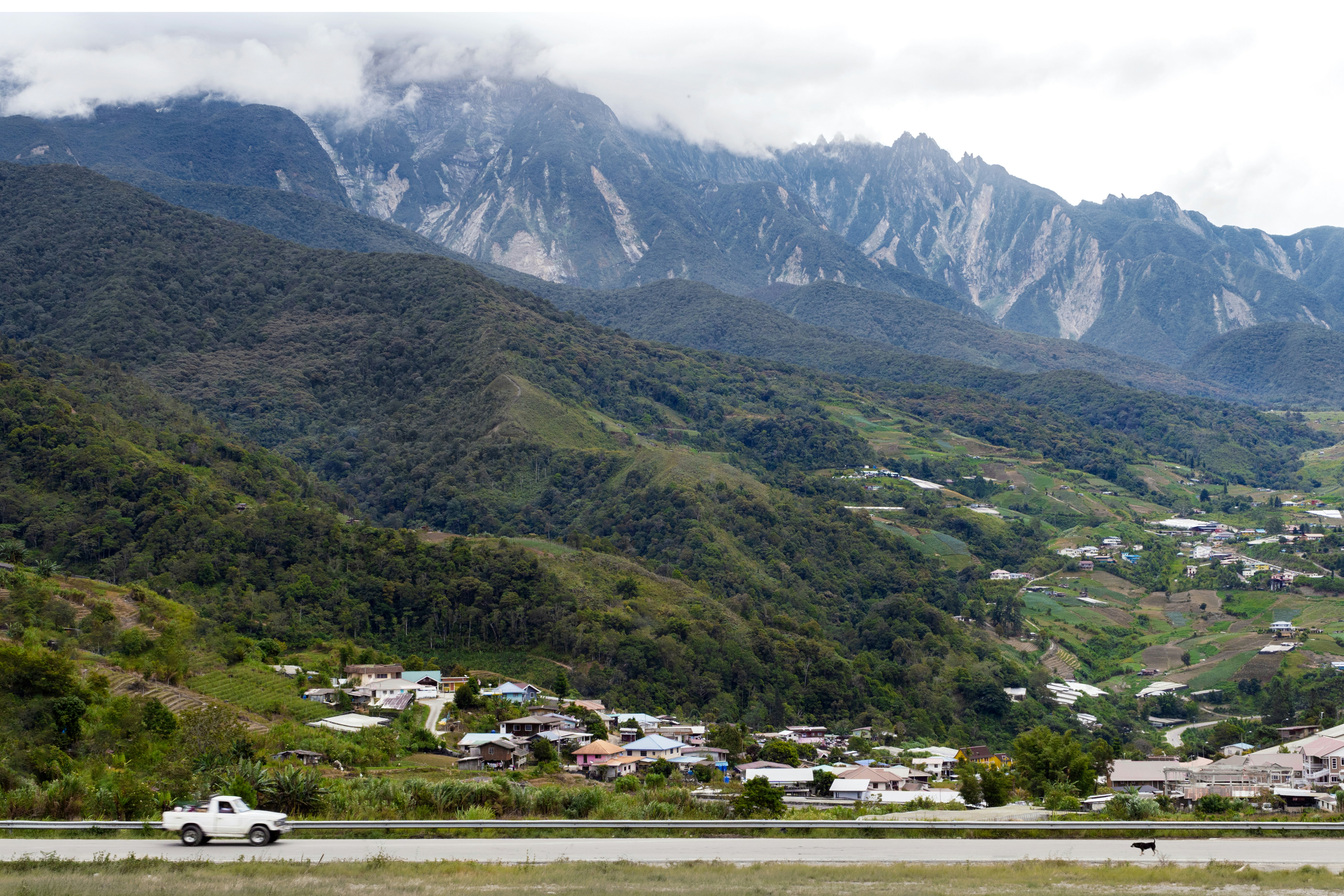 green and brown mountains during daytime