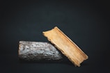 Two pieces of cinnamon bark are displayed against a dark background. One piece is upright, showing its rough, textured surface, while the other rests at an angle, highlighting its smooth, curved side.