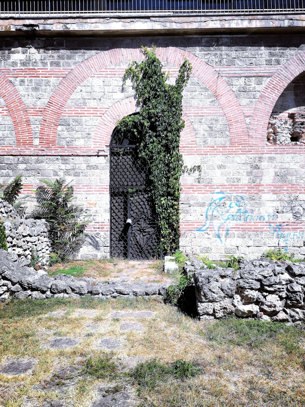 Alberi verdi vicino all'edificio di mattoni marroni