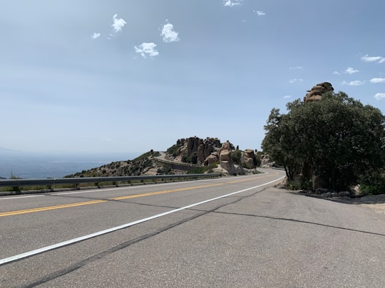 gray concrete road near green trees and body of water during daytime in Coronado National Forest United States