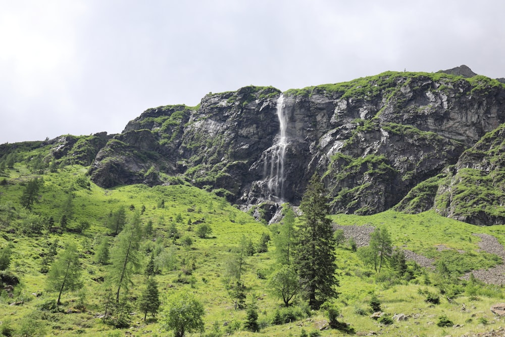 green trees on mountain under white sky during daytime