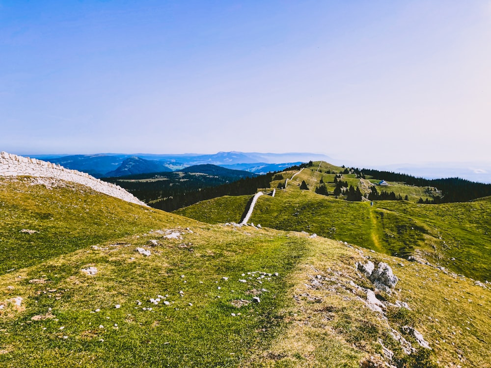 campo di erba verde sotto il cielo blu durante il giorno