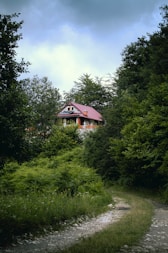 brown wooden house surrounded by green trees under blue sky during daytime
