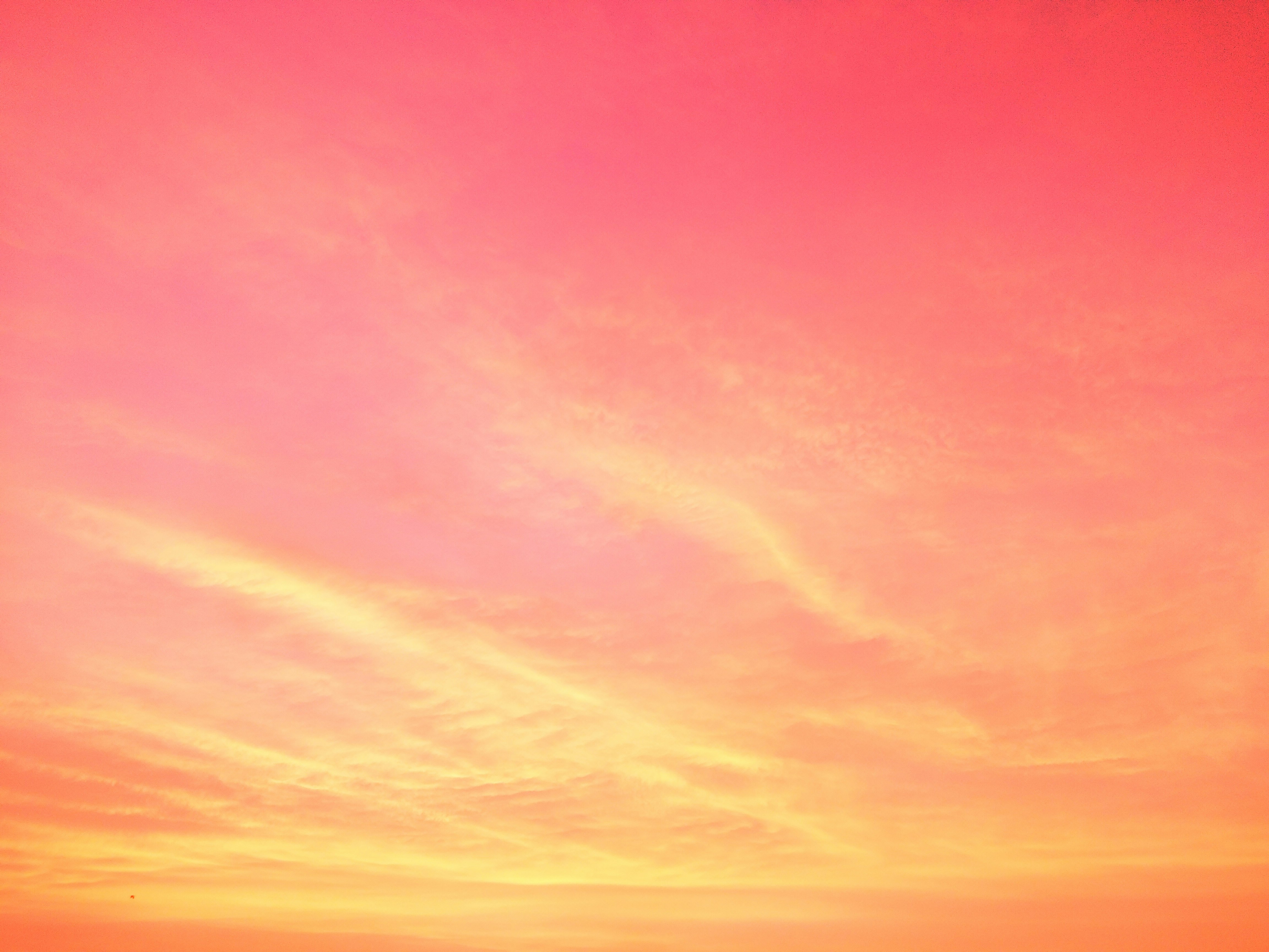 pink and blue sky during daytime