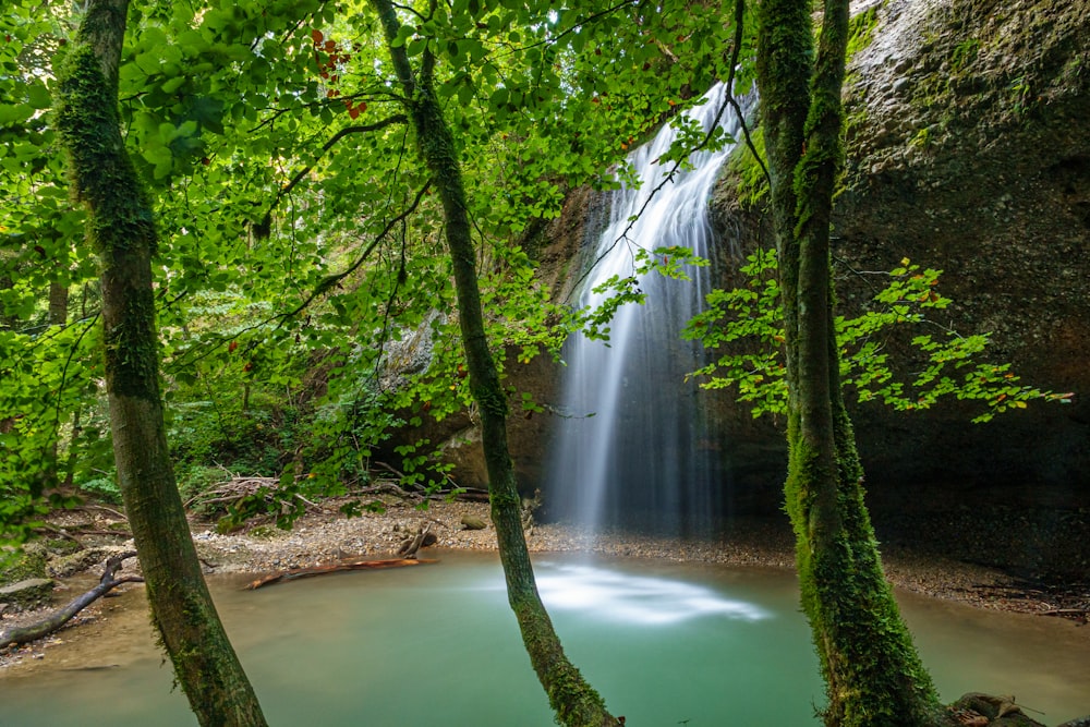 water falls in the middle of the forest