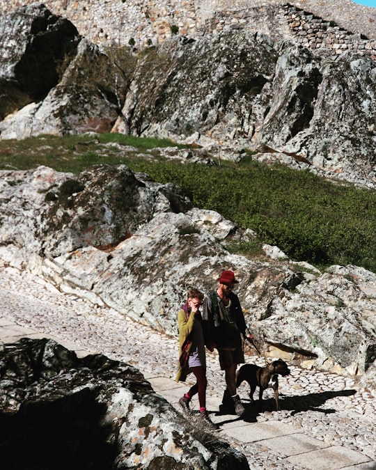 woman in red jacket standing beside black and brown short coated dog on rocky mountain during in Castelo de Marvão Portugal