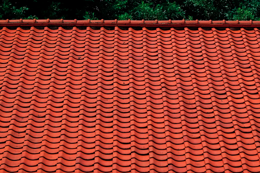 Toiture en tuiles nettoyée, entourée de verdure