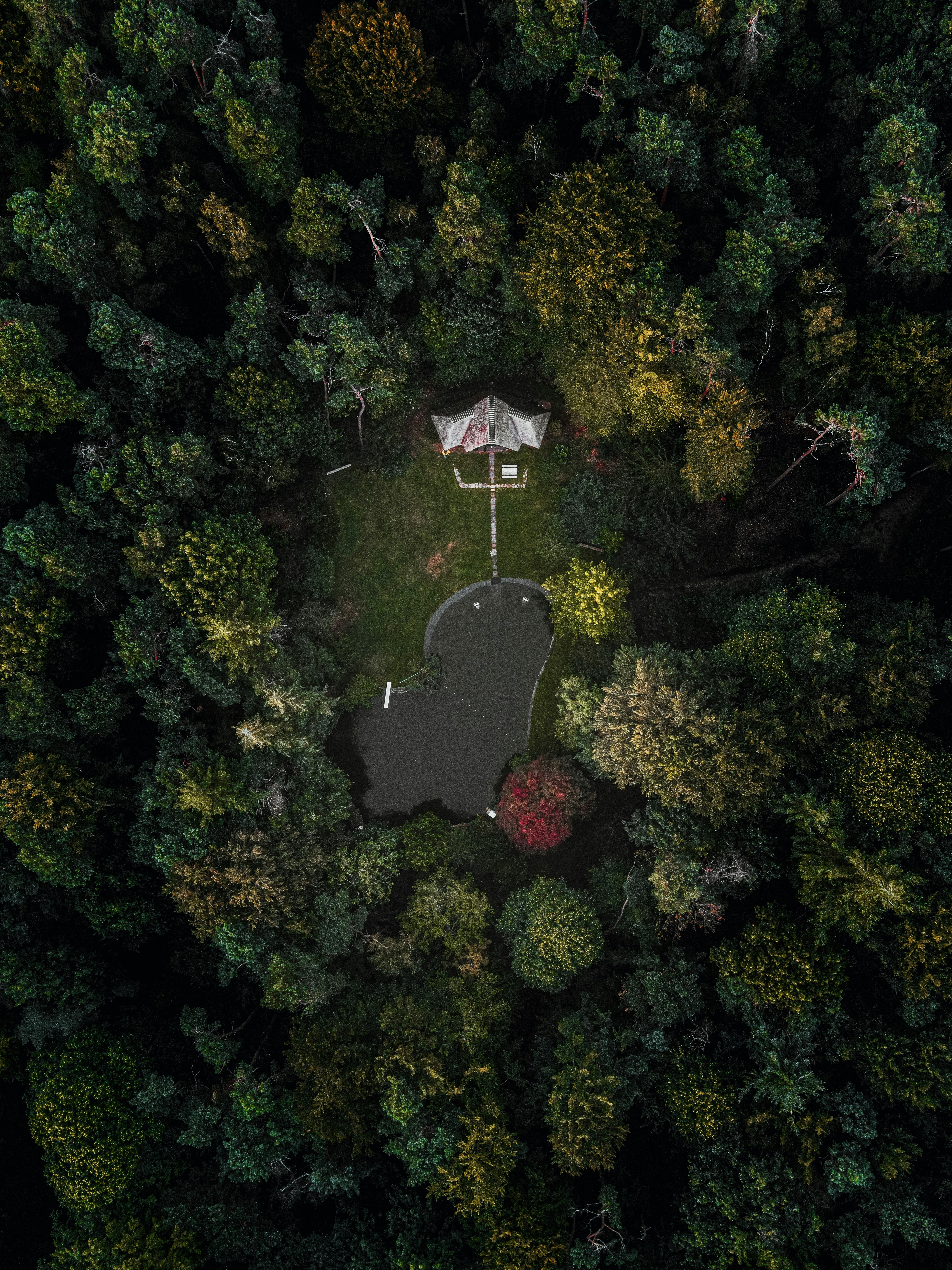 an aerial view of a lake surrounded by trees