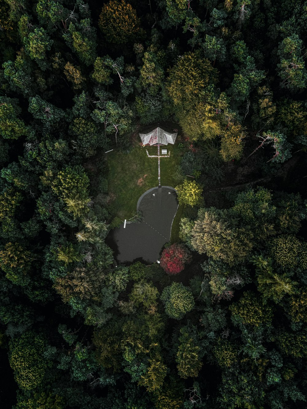 an aerial view of a lake surrounded by trees