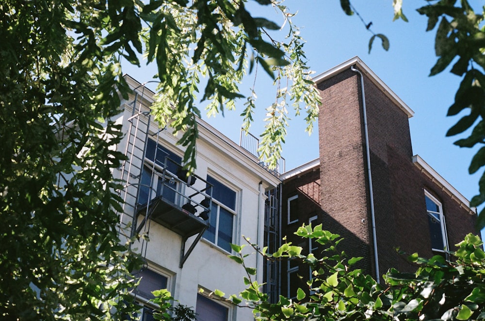 brown concrete building with green leaves