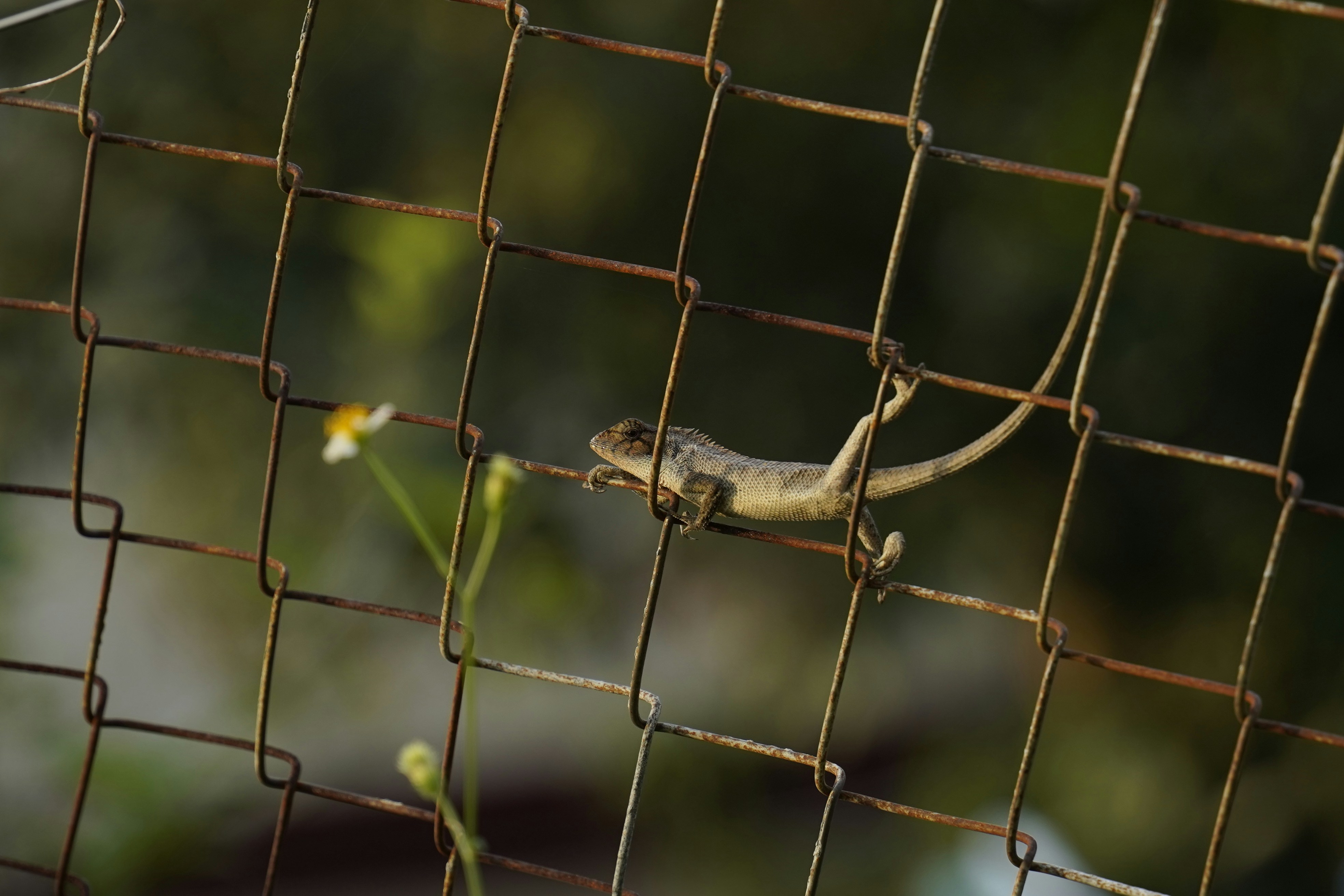 Photo by henrylaiphotography