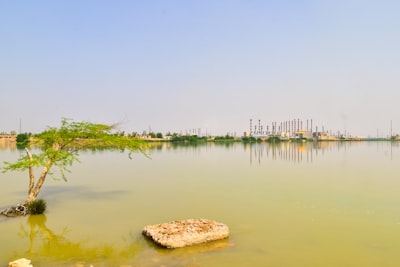 green trees on brown rock in the middle of water iraq google meet background