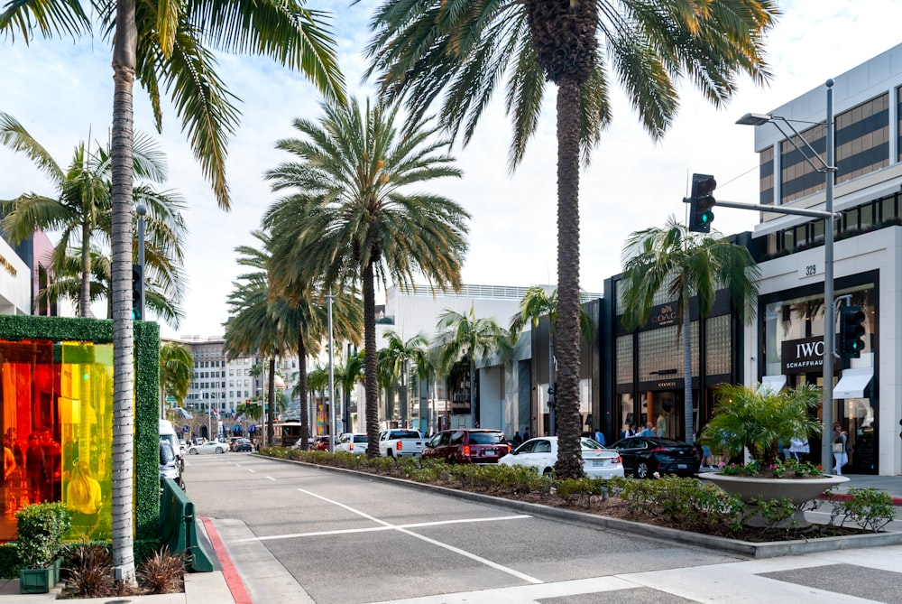 cars parked on sidewalk near palm trees and buildings during daytime