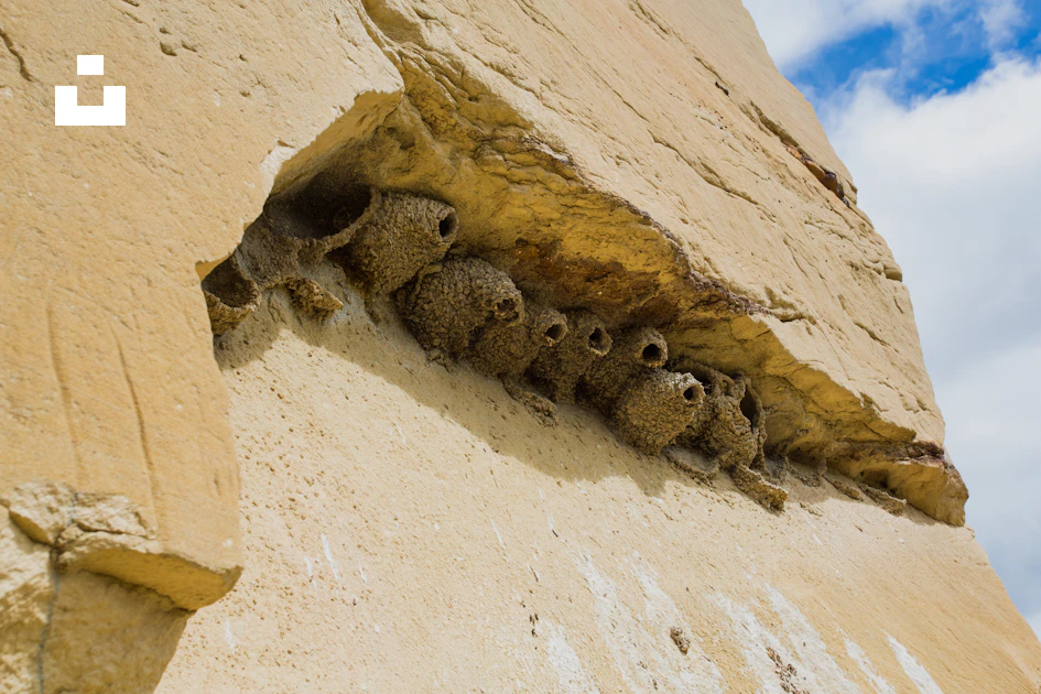 The Brown Rocks Brown rocks on brown sand during daytime photo – Free Rosebud creek ...