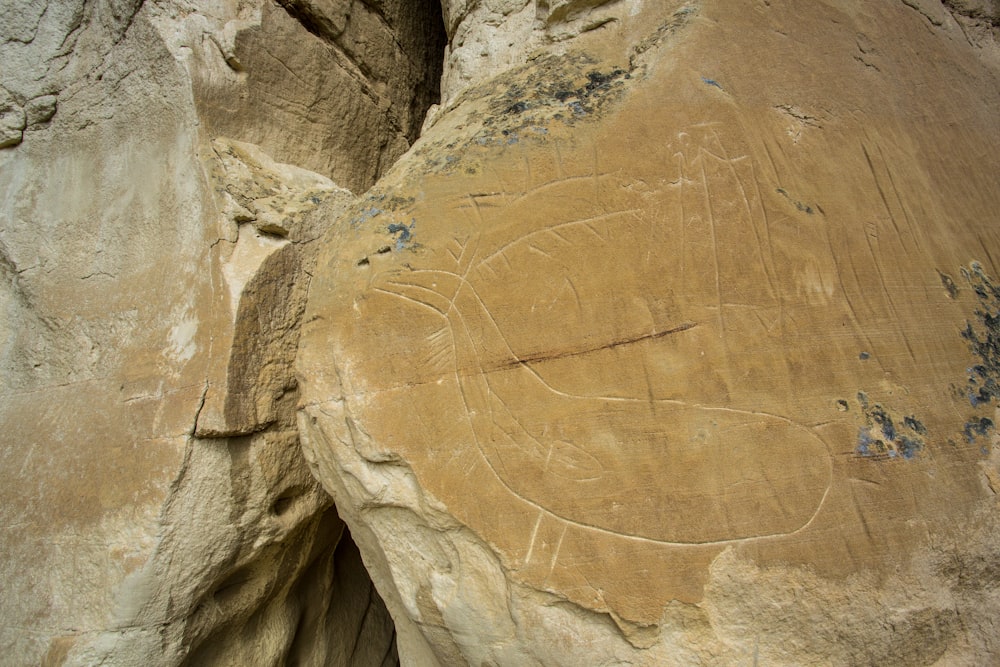 brown rock formation during daytime