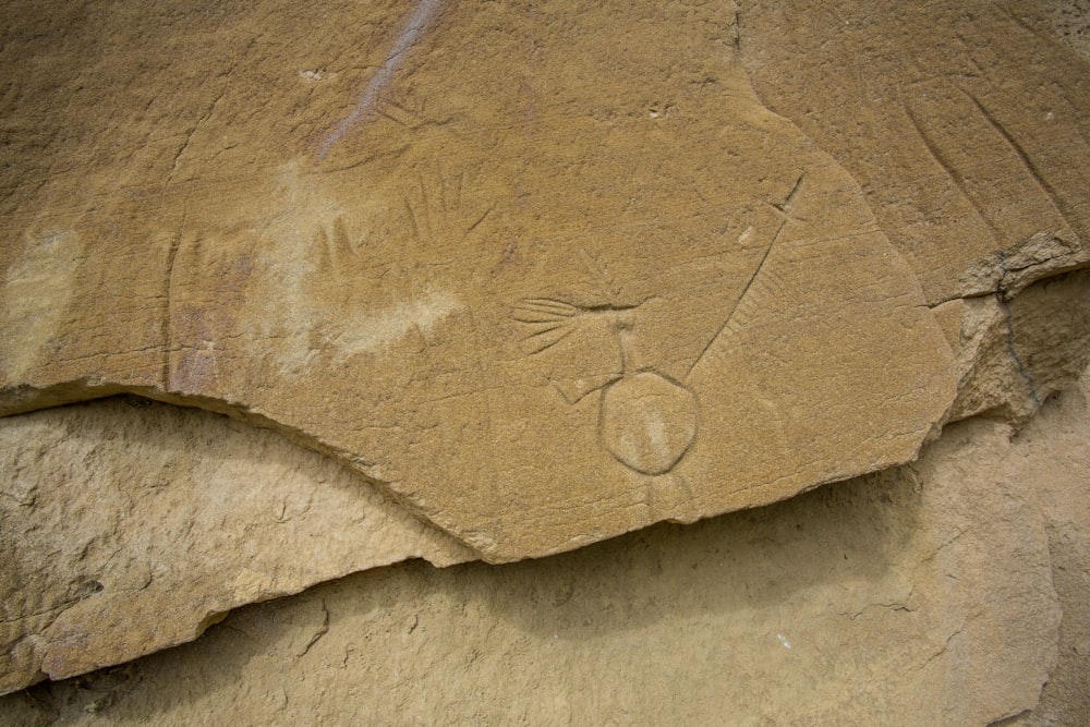 brown textile on white surface