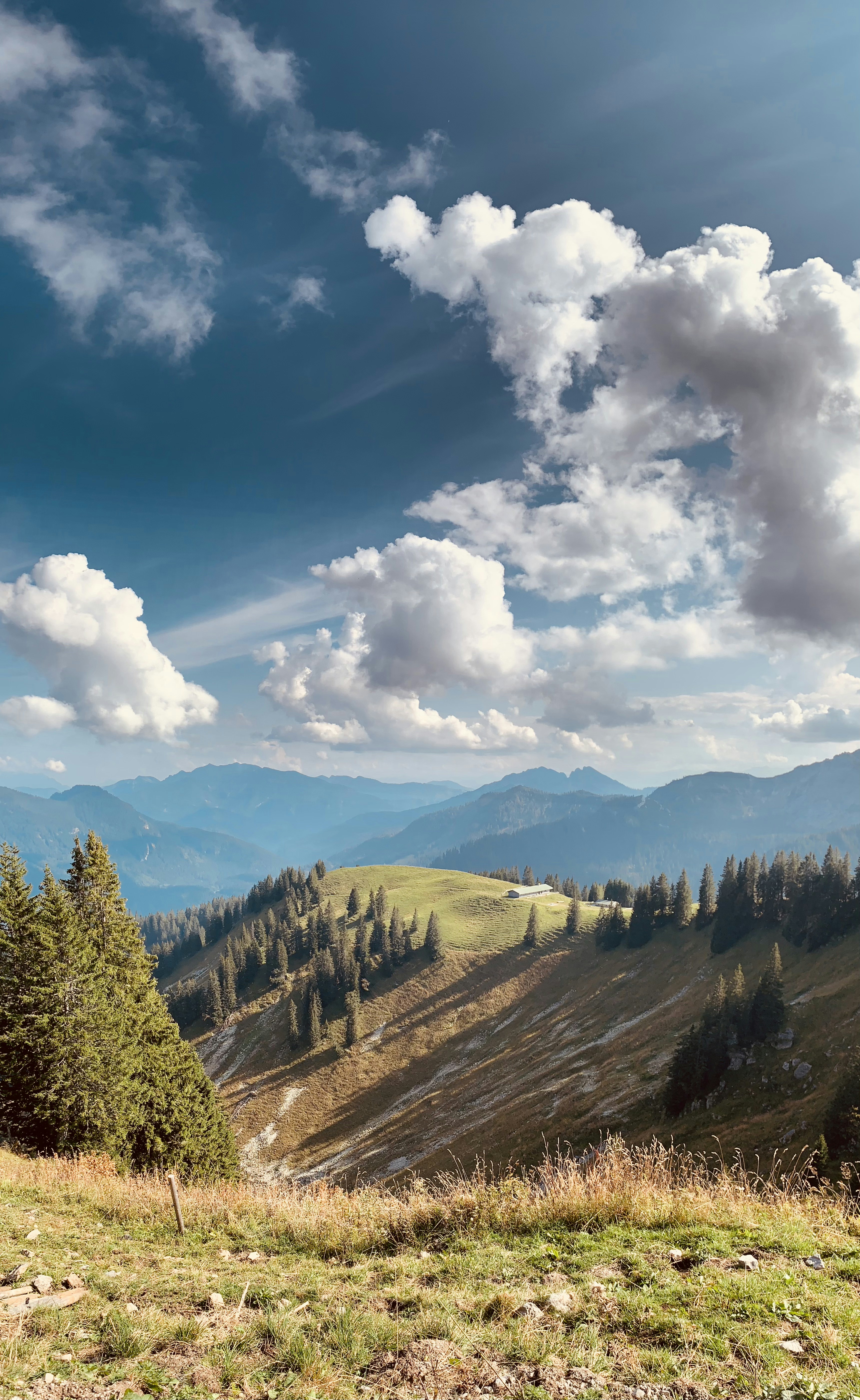 Photo by hendrikkilimann