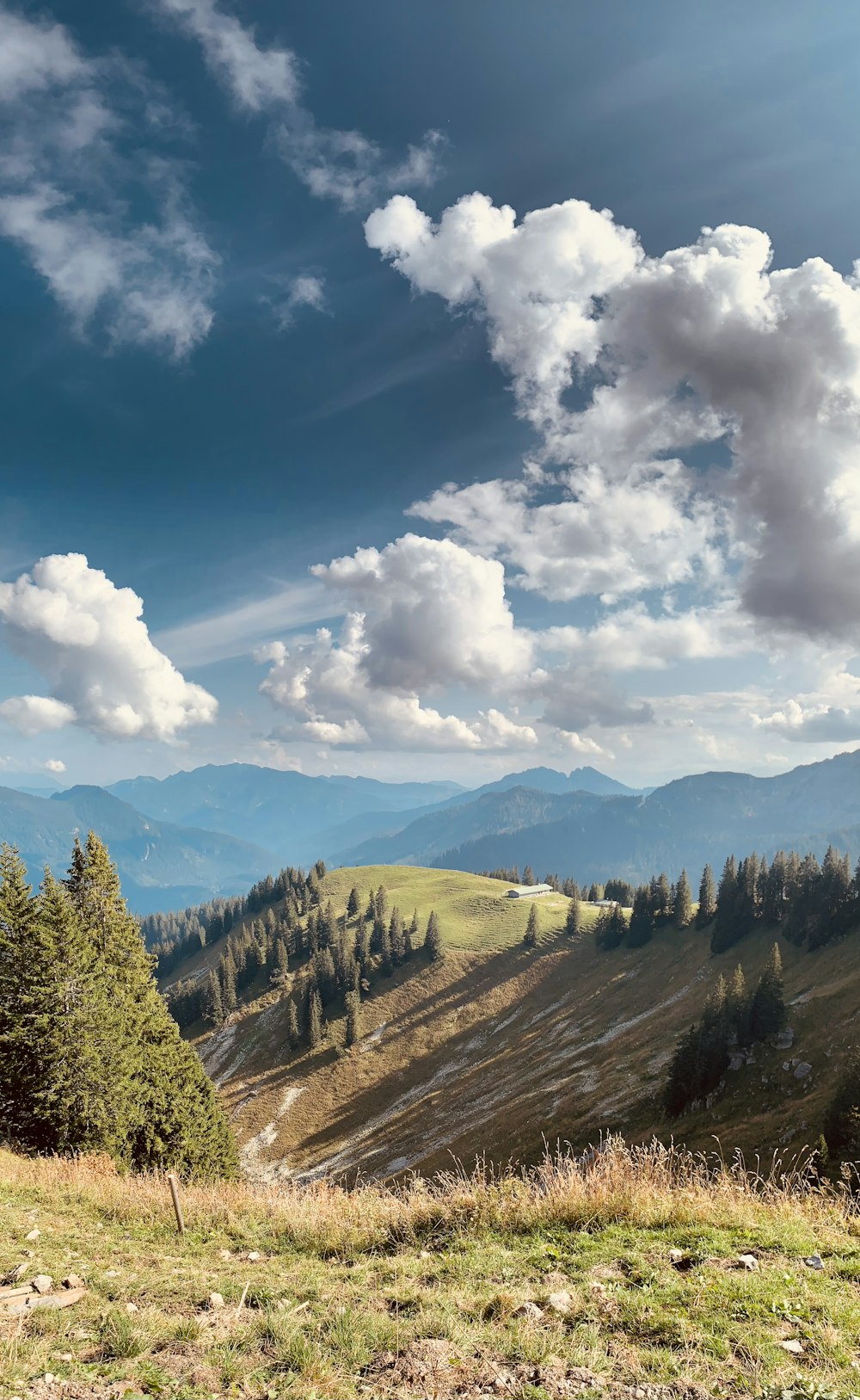 green trees on mountain under white clouds and blue sky during daytime