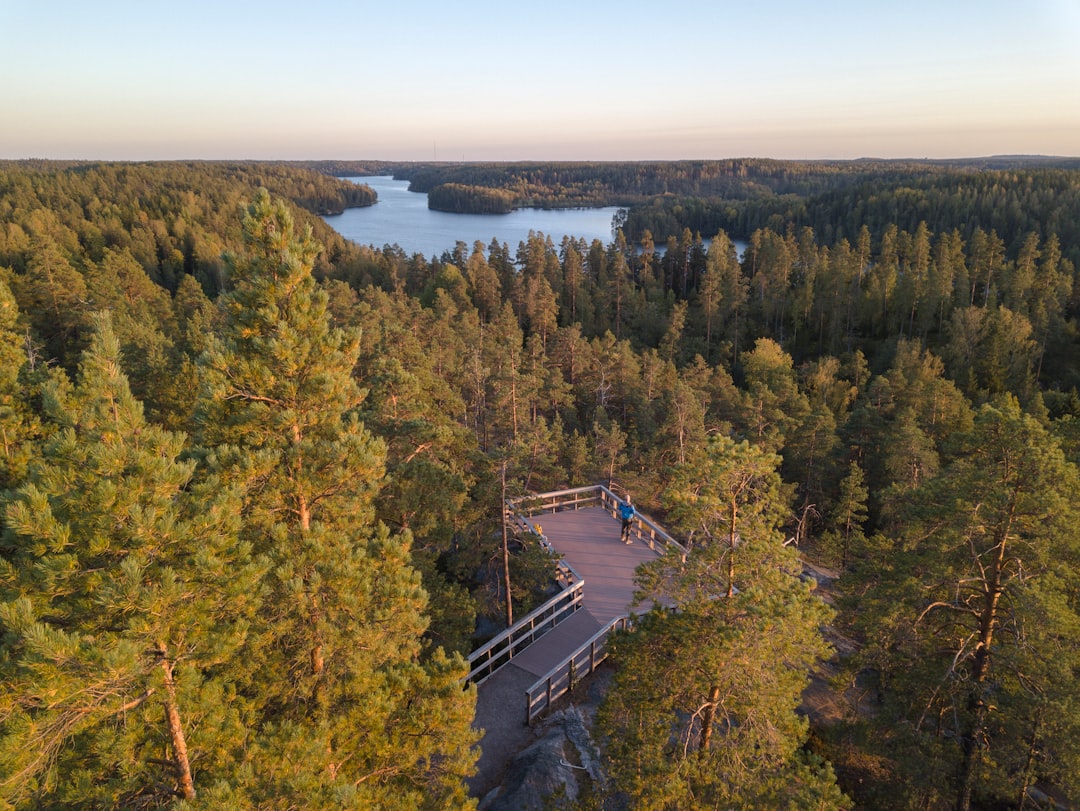 travelers stories about Temperate broadleaf and mixed forest in Espoo, Finland