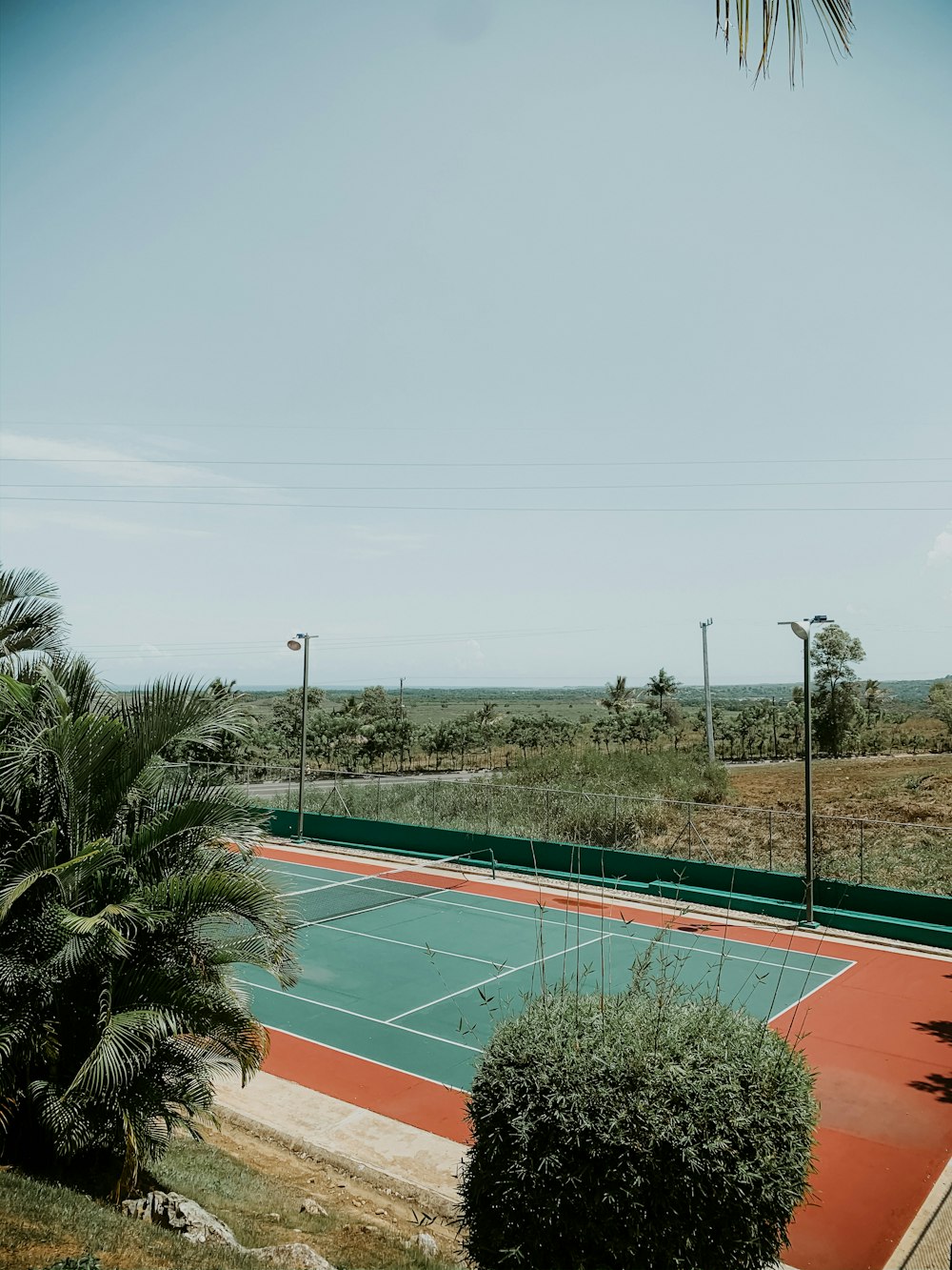 green and brown basketball court