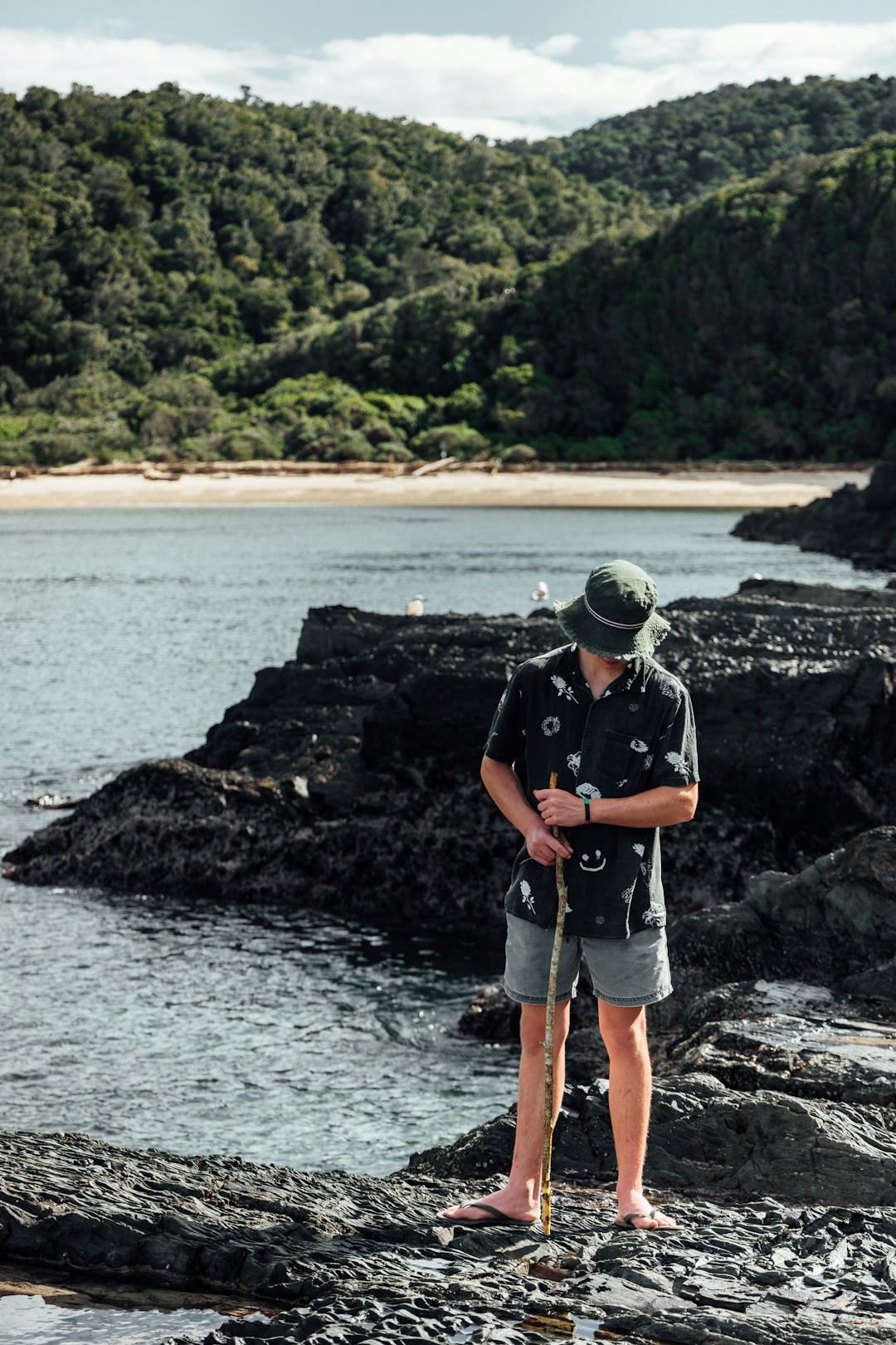 photo of Nature's Valley Shore near Tsitsikamma National Park