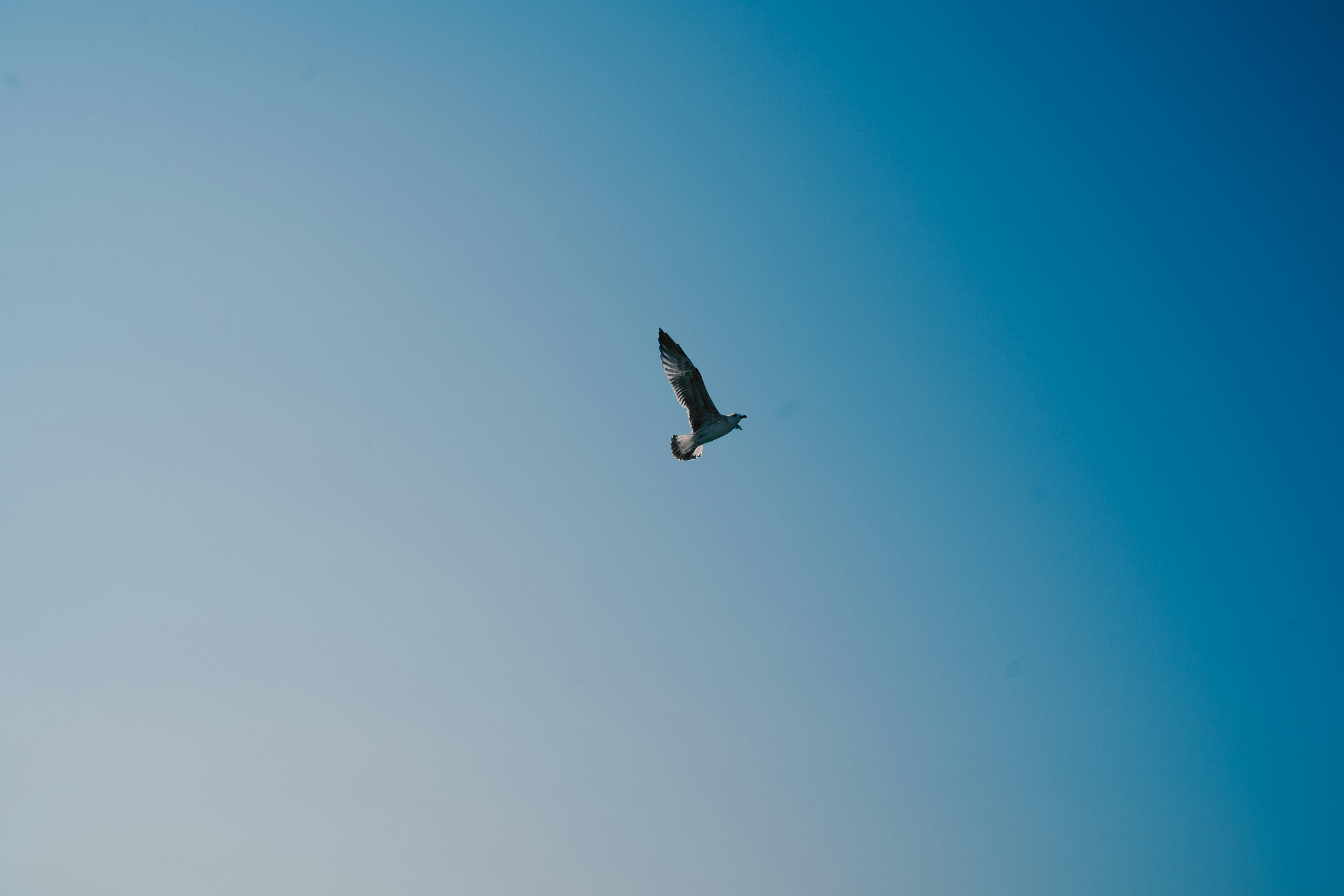 Photo by takenori1128