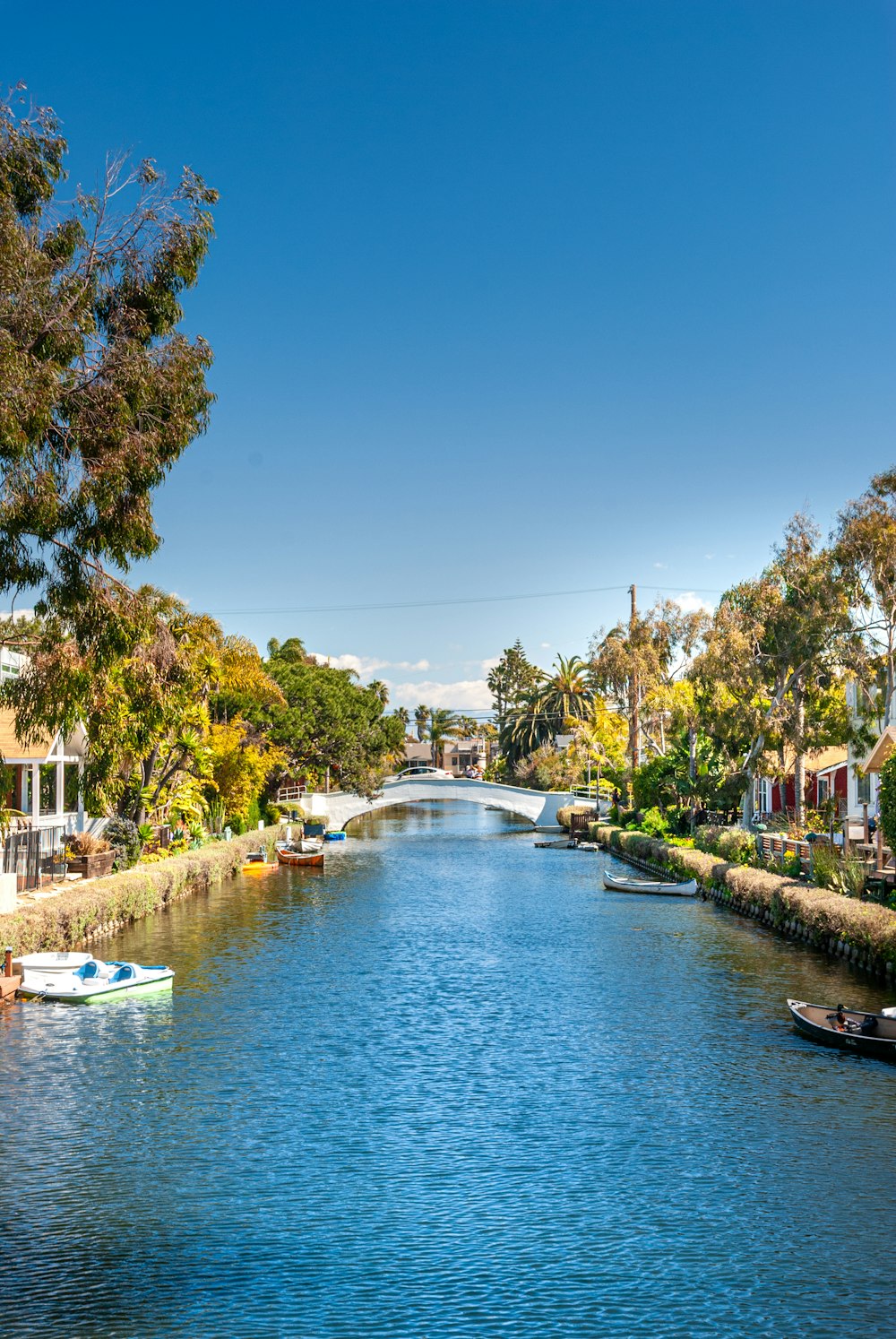 body of water between trees during daytime