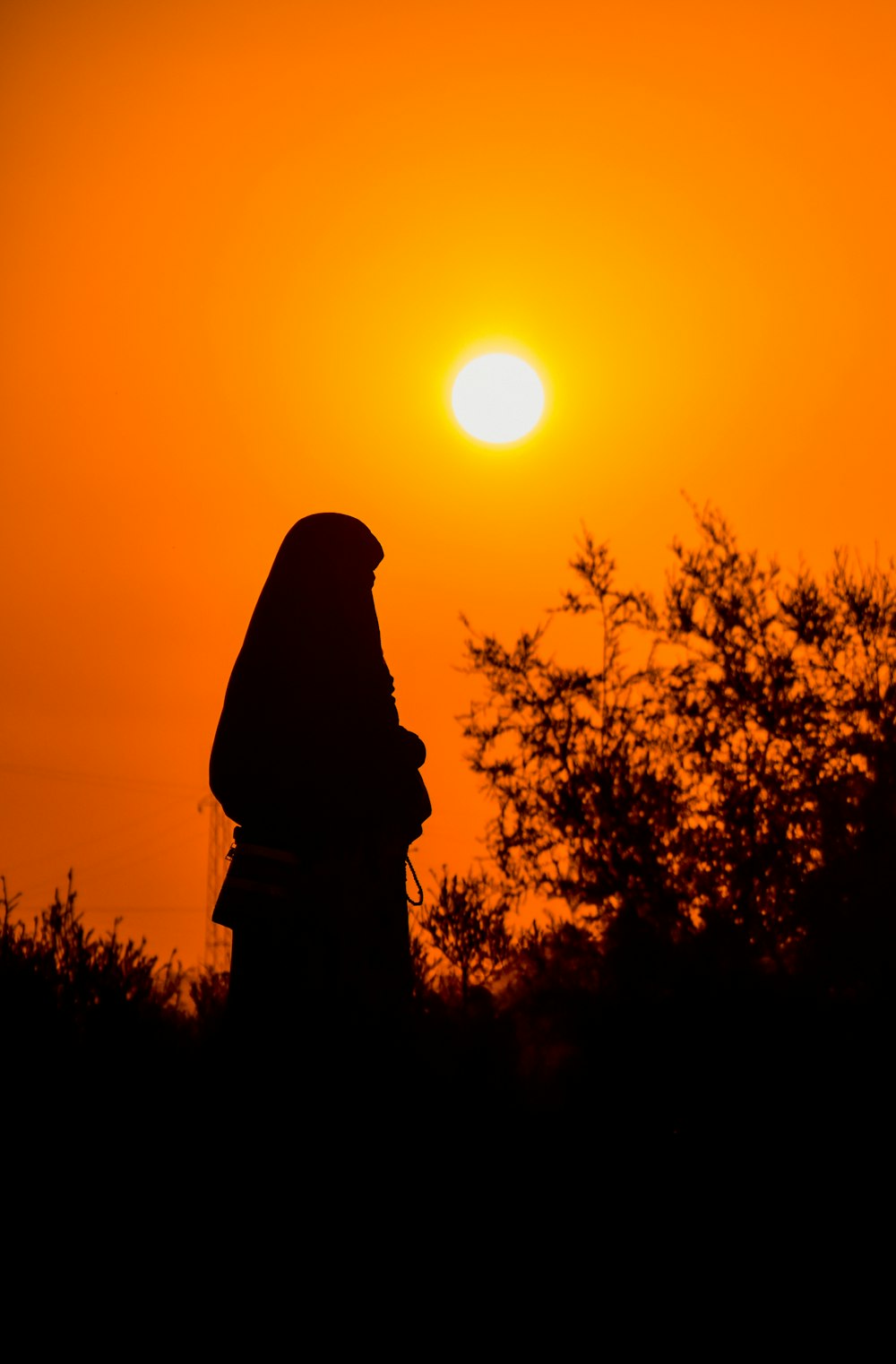 silhueta do homem em pé perto das árvores durante o pôr do sol