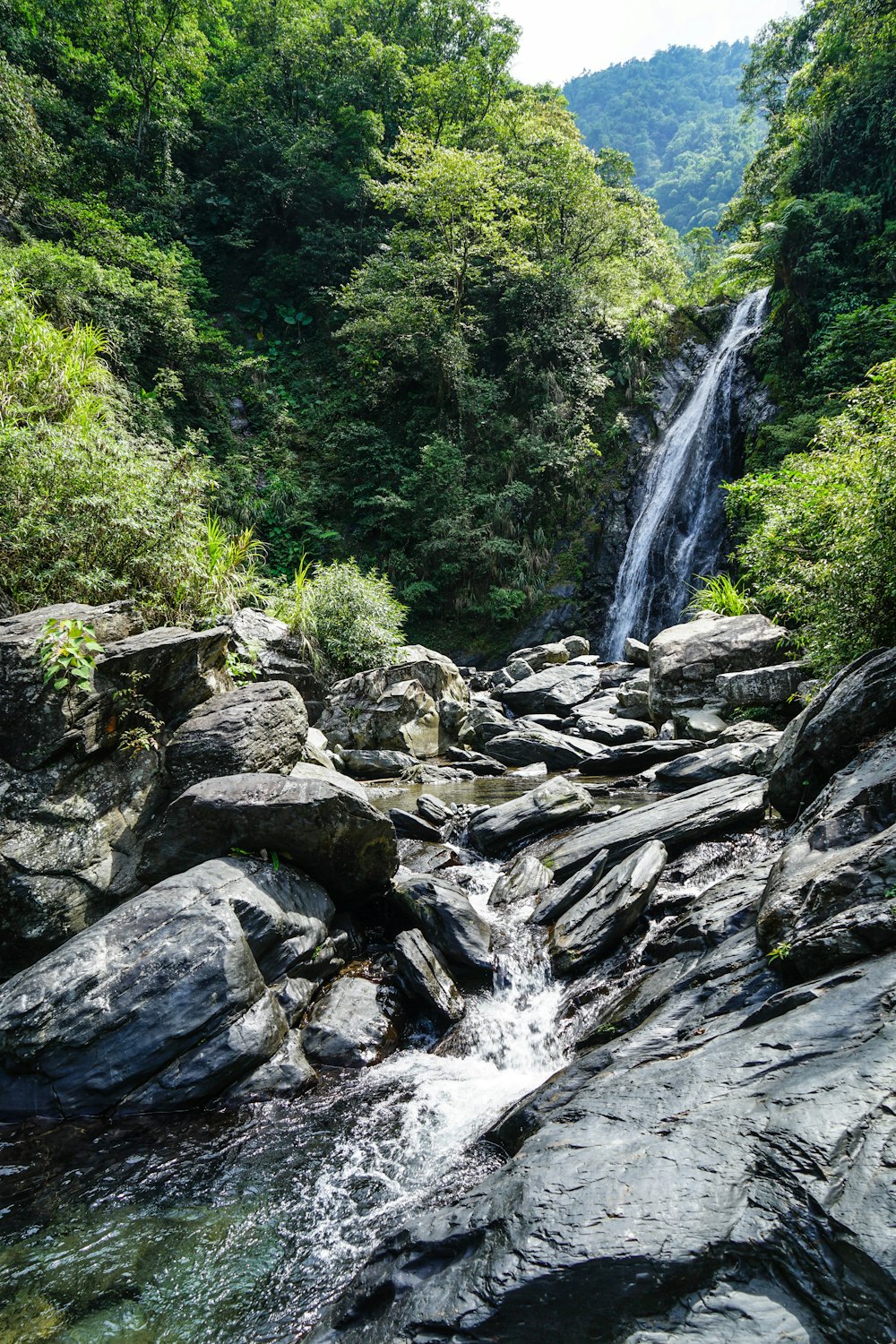 water falls in the middle of the forest