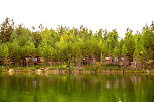 Lush green trees framing the peaceful shoreline where cabins nestle quietly.