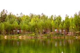 A serene landscape featuring a lush forest with vibrant green trees lining the shore of a tranquil lake. Small cabins with large windows are partially visible through the trees. The still water of the lake reflects the vivid greens and the sky above.