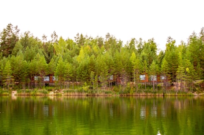 A serene landscape featuring a lush forest with vibrant green trees lining the shore of a tranquil lake. Small cabins with large windows are partially visible through the trees. The still water of the lake reflects the vivid greens and the sky above.