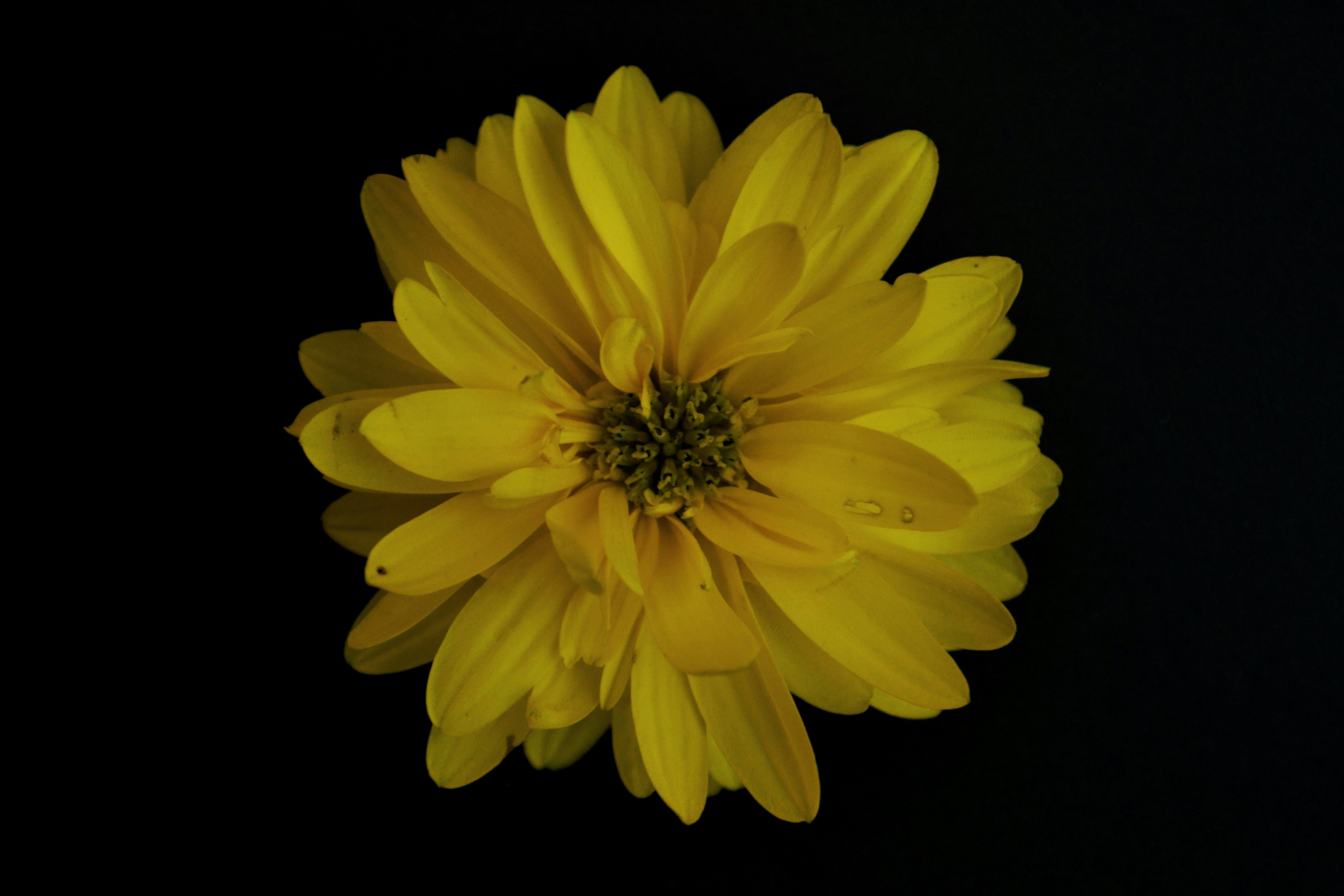 Photo by michealcopley03