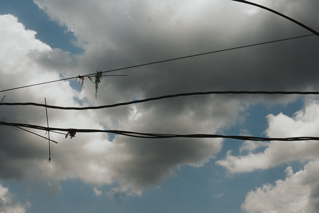 black birds on electric wire under blue sky during daytime