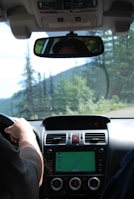 The interior of a car showing the driver's view with the steering wheel and dashboard visible. A person’s hand is on the steering wheel. The in-car navigation system is active and displaying a map on the screen. There are trees and greenery visible through the windshield, indicating an outdoor, possibly scenic, environment.