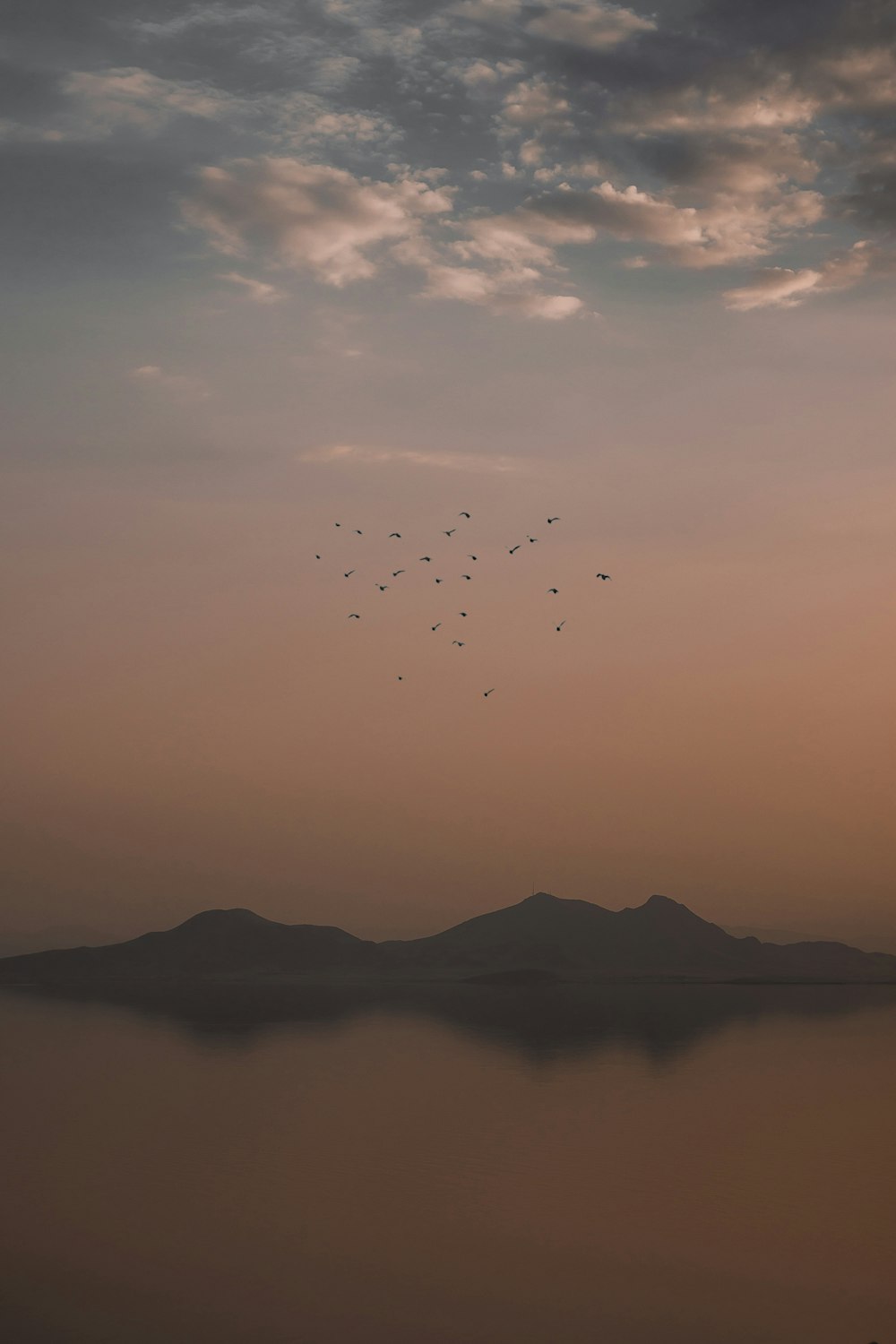 birds flying over the sea during daytime