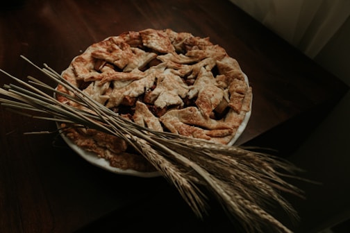 brown and white ceramic bowl