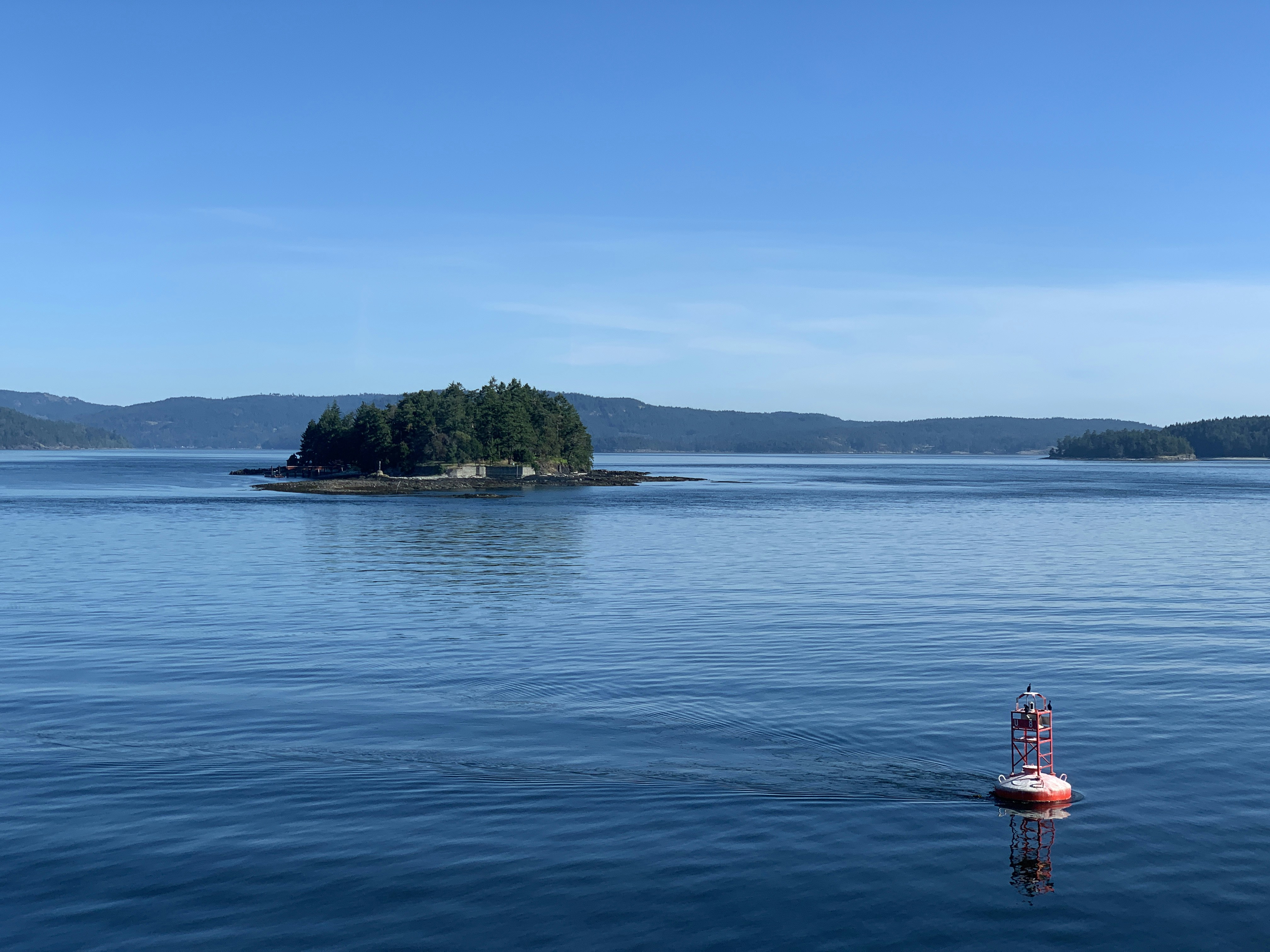 person in red shirt standing on red and white boat on blue sea during daytime
