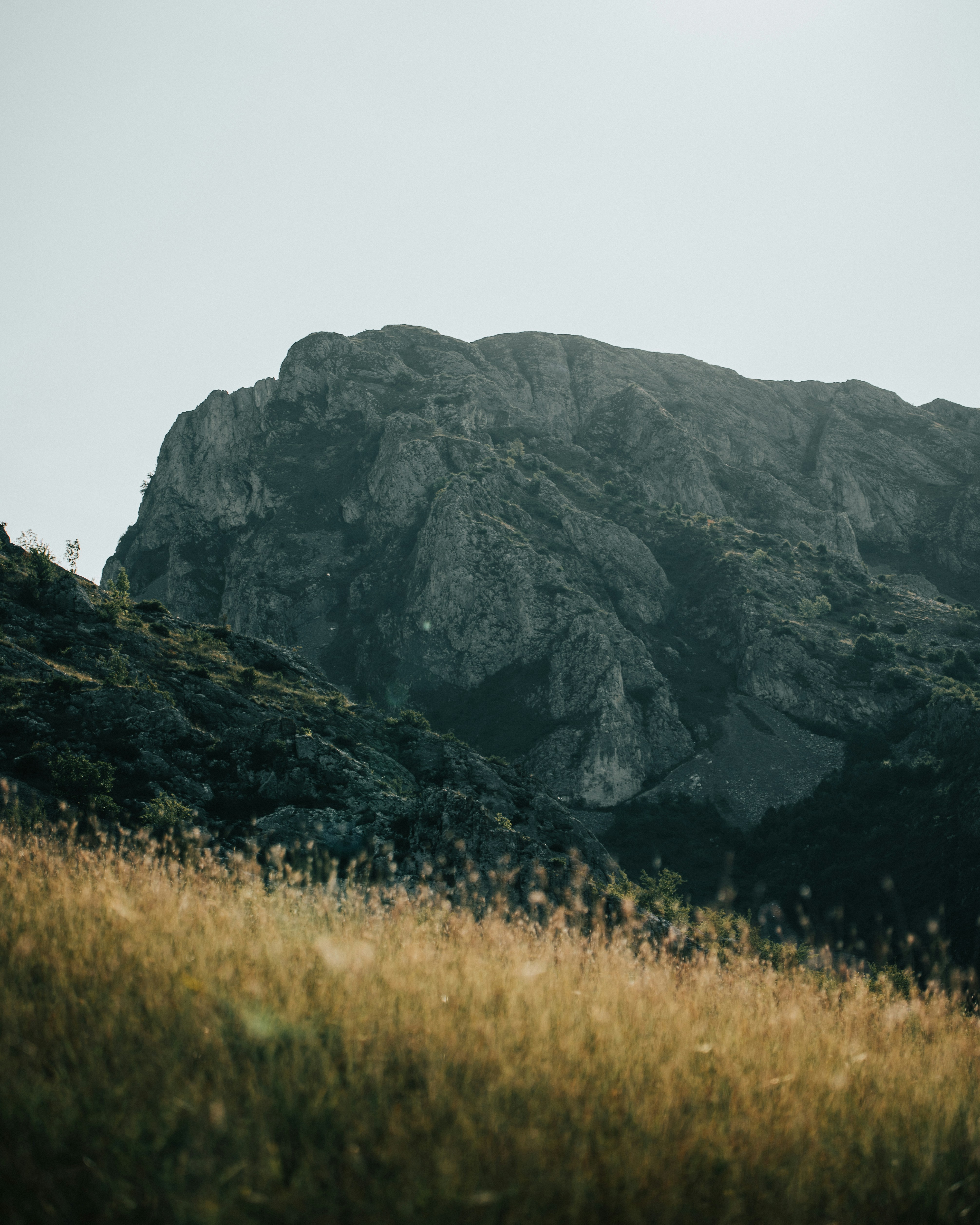 Photo by tamas_tuzeskatai