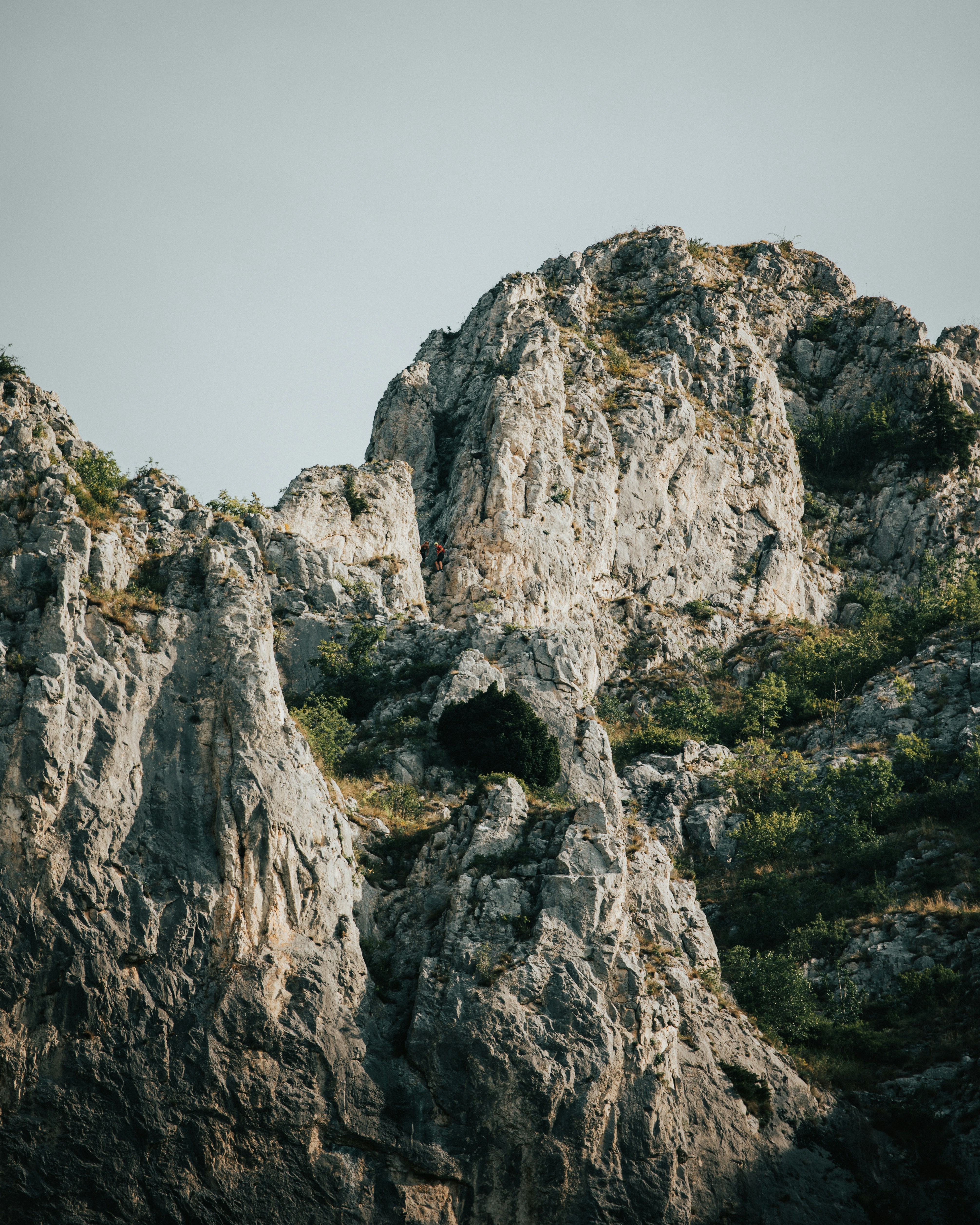 Photo by tamas_tuzeskatai